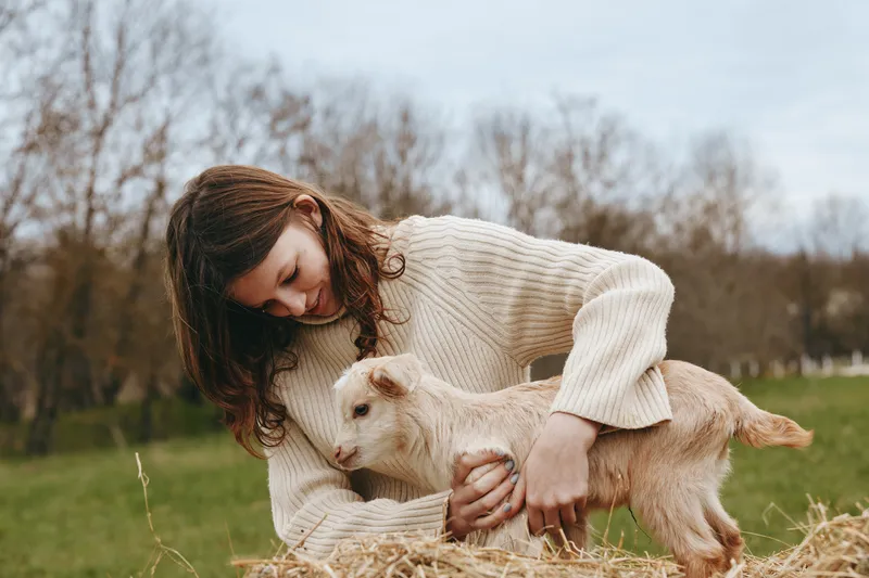 Goat, kid, woman in a cozy sweater kneels in a field, guiding a gentle goat kid on straw. A candid lifestyle moment outdoors, showing care, bonding, and soft rural charm.