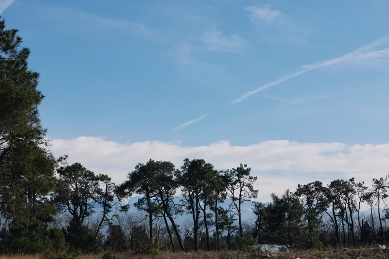 Trees, landscape, sky, clouds, horizon, nature, outdoors, scenery, forest, sunlight, blue sky, open vista, tranquil mood, countryside charm, fresh air, quiet openness, wide panorama, peaceful