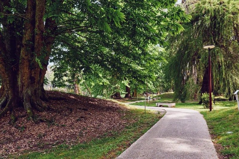 Park path with trees and bench along a gravel walkway, lush greenery and shaded trail with lampposts and open lawn, offering a peaceful outdoor scene for walking and relaxation.