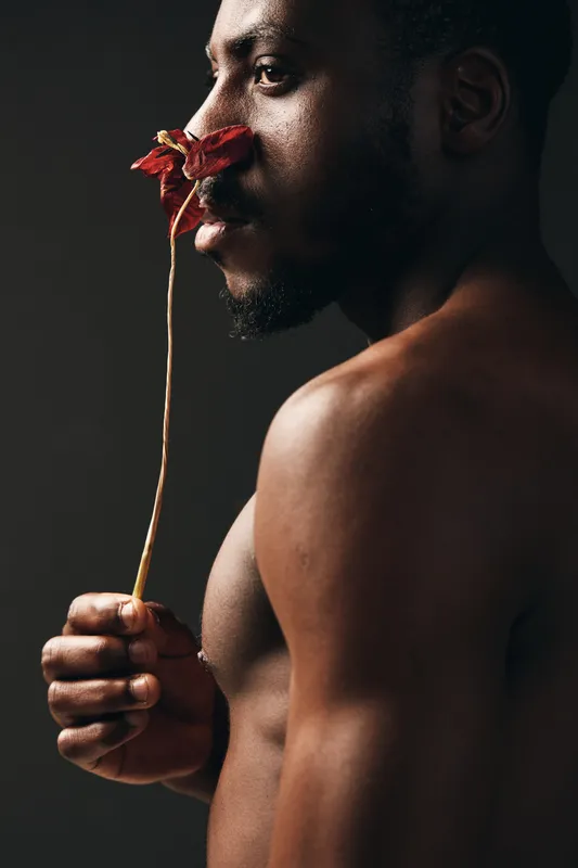 African man with dark skin holding red flower near face in creative conceptual visual style. Portrait of shirtless male with artistic expression and natural light on dark background.