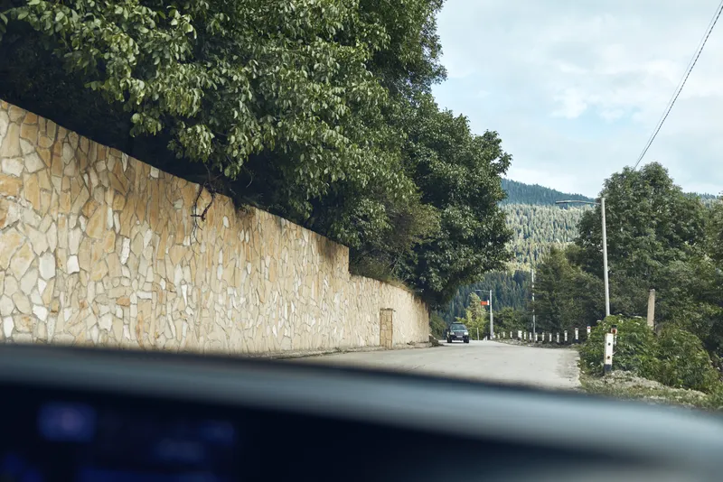 Road car dashboard mountains trees view with authenticity inclusivity