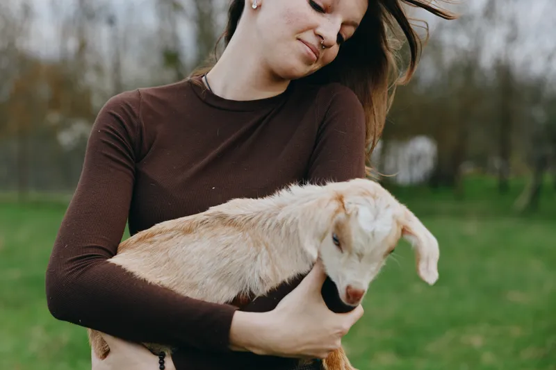 Lifestyle moment with a woman outdoors, gently holding a goat kid, warm sunlight, casual sweater, soft breeze, grassy field, natural colors, peaceful bond and connection
