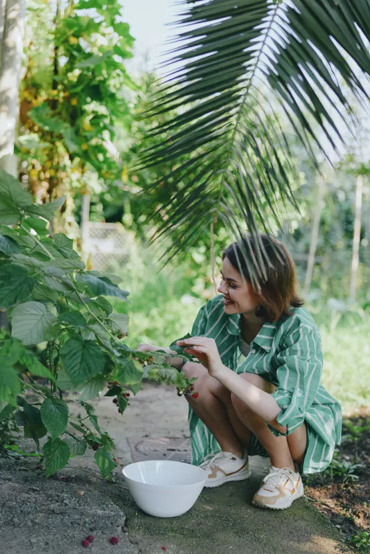 A woman crouches beside lush greenery, tending plants and harvesting herbs in a sunlit garden, wearing a casual striped shirt and sneakers.