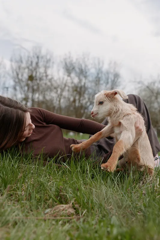Lifestyle moment outdoors, a woman on the grass reaching toward a curious goat kid, joyful interaction, soft sunlight, casual clothes, fresh greens, gentle breeze, natural colors, candid connection