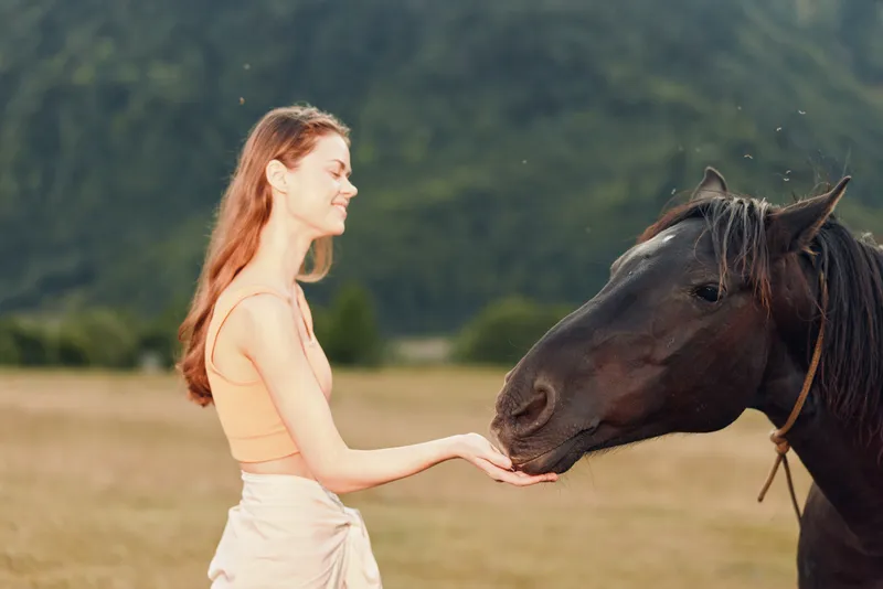 A calm woman in a peach top stands in a rural field, offering a gentle touch to a horse. The moment conveys warmth, trust, and a serene bond with nature.