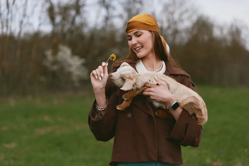 Joyful woman in a casual jacket outdoors holds a goat kid, offering a dandelion, smiling warmly in a green field, capturing a gentle countryside lifestyle and affectionate animal interaction