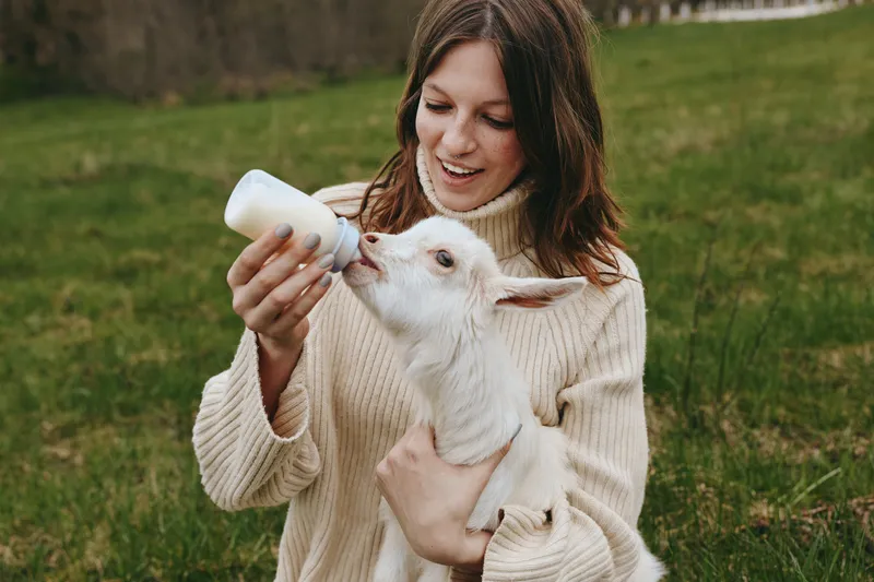 Caring woman in a cream sweater bottle-feeds a young goat kid in a grassy field, capturing a gentle farm lifestyle moment, warm natural light, tenderness, and bonding between human and animal.