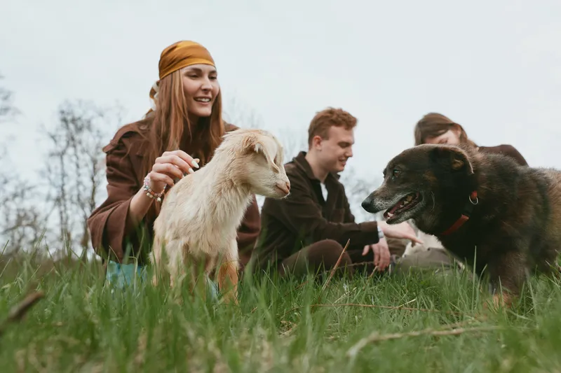A young woman in a brown jacket smiles while petting a white baby goat as two men sit on grass nearby with a black dog in a casual outdoor lifestyle setting.