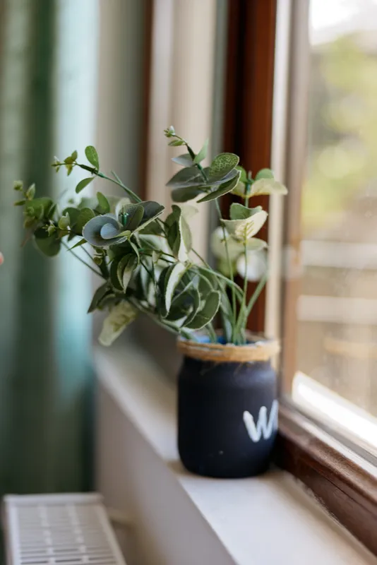 Indoor plant on a sunny windowsill, green leafy stems in a dark ceramic pot, soft natural light, calm home ambiance, simple decor, fresh air and serenity minimal, modern, cozy, bright