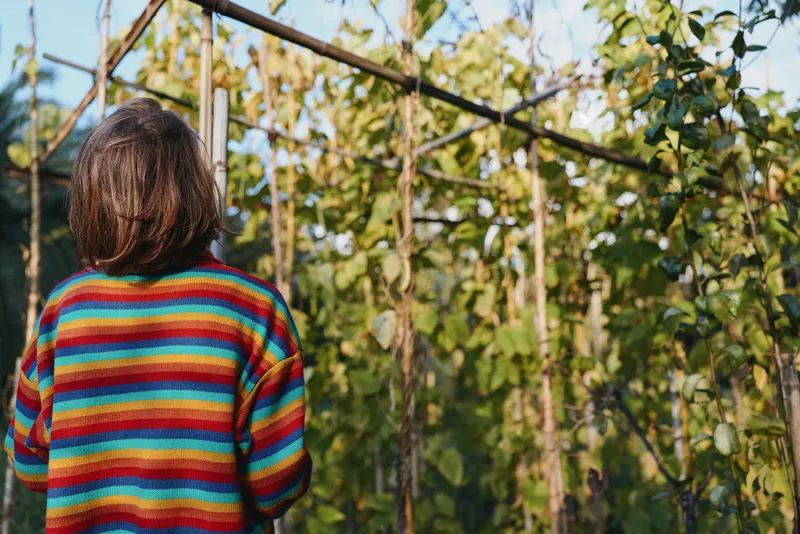 Woman in a colorful striped sweater seen from back in a garden by a wooden trellis with climbing vines, gently observing plants and sunlight in a calm outdoor seasonal setting