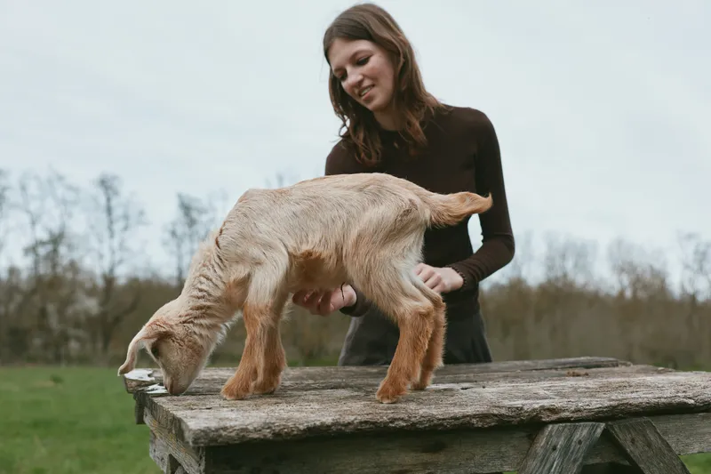 Cheerful woman outdoors with a playful goat kid on a weathered wooden table, interaction at close range, rustic setting, soft natural light, grass field background, candid lifestyle moment, wholesome
