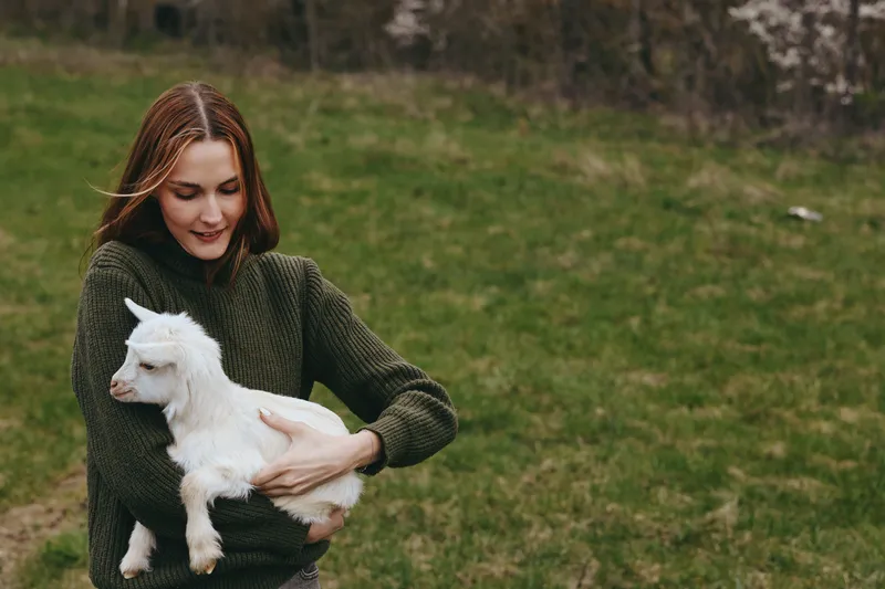 Goat kid woman outdoor lifestyle animal field grass nature gentle, a farmland moment where a woman in a dark green sweater holds a white goat kid in a sunny countryside setting.