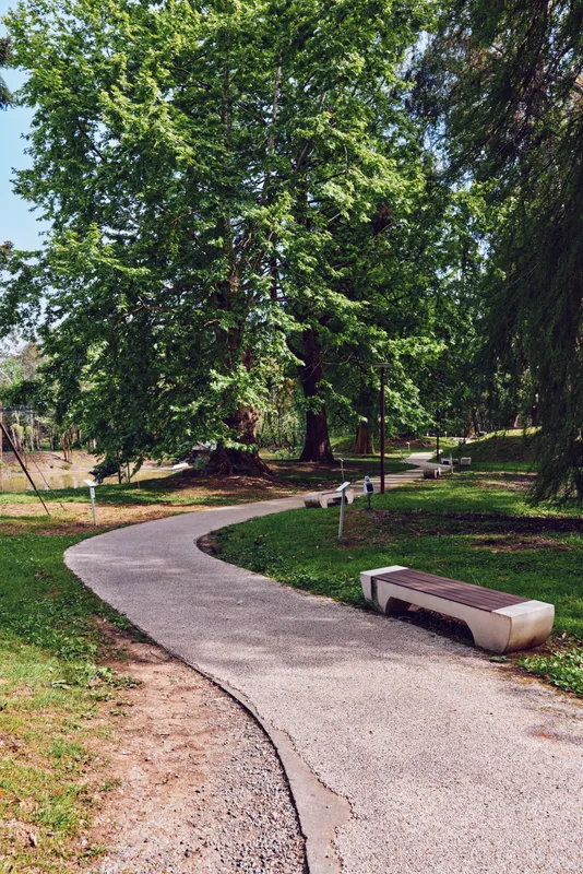 Park path with curved walkway and concrete bench under tall trees, lush greenery and outdoor nature scene with grass, lampposts and peaceful resting spot for relaxation and recreation.