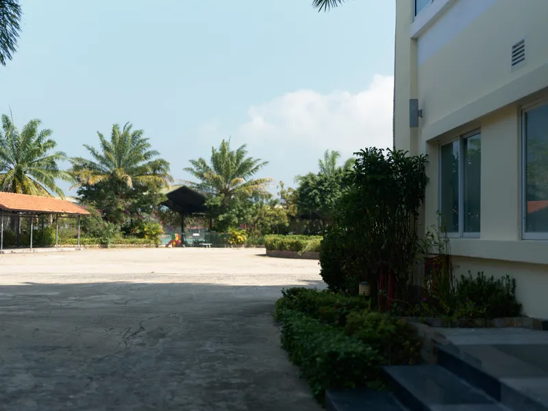 empty outdoor space with concrete ground and green plants near modern building, clear sky and palm trees in the background, bright sunny day atmosphere