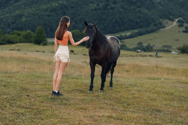 A young woman in casual attire stands in a wide grassy field, her hand extended toward a calm black horse. The moment breathes gentleness, trust, and peaceful countryside.
