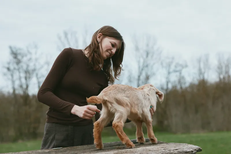Young woman in a brown sweater interacts with a small goat standing on a wooden surface outdoors during a calm autumn day.