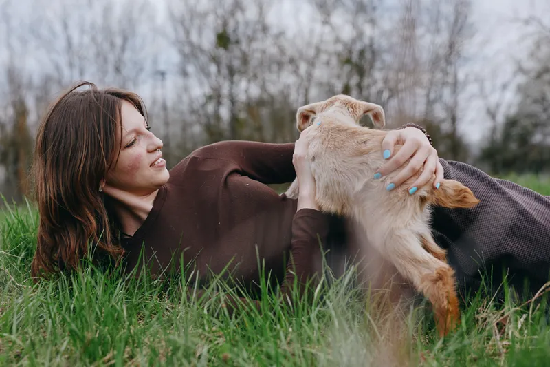 Cheerful woman outdoors lying on grass, gently stroking a curious goat kid, sunlit moment, relaxed bond, natural colors, green meadow backdrop, intimate countryside lifestyle