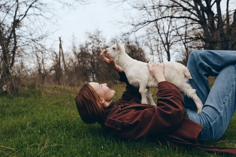 A woman lies on a grassy field in casual clothes, smiling as a white goat kid climbs onto her chest, capturing a playful, bonding moment outdoors, with natural light and a calm, candid atmosphere.