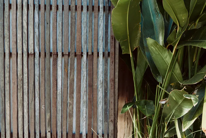 Close-up of a wooden fence beside lush green leaves, showcasing natural texture and outdoor setting. Rustic, minimalist composition highlights nature and architecture in soft daylight.