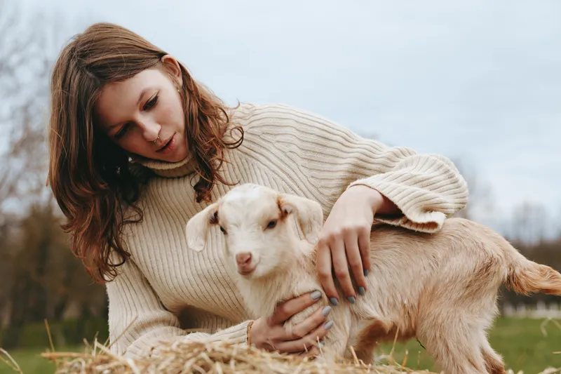 Gentle woman in a cream knit sweater embraces a curious goat kid in a rural field, soft natural light, wholesome lifestyle moment, bond with animals, calm mood, intimate portrait, outdoor calmness.
