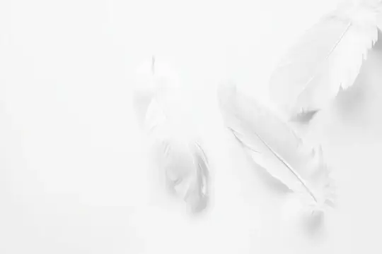 Нежные белые перья, расположенные на чистом белом фоне, вызывающие чувства чистоты и спокойствия, идеально подходят для тем здоровья, релаксации и красоты