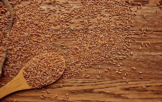 Зерна пшеницы рассыпаны по деревянному столу рядом с ложкой