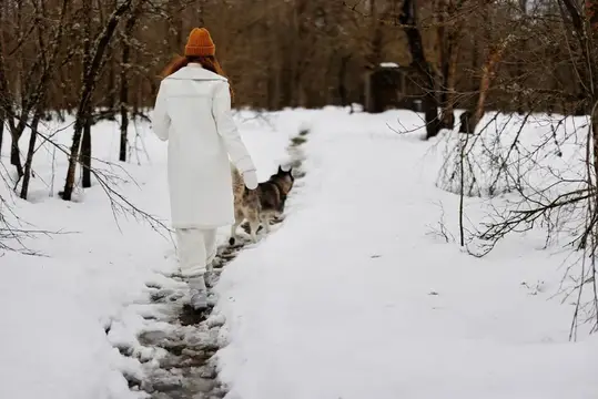Женщина в белом пальто и оранжевой шапке гуляет с собакой по зимнему лесу