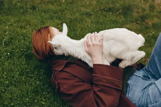 Рыжеволосая девушка лежит на траве с белым котом на груди