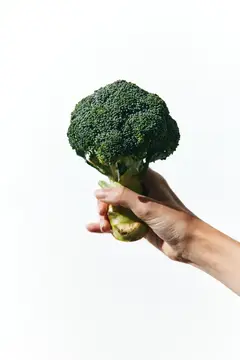 Концепция здоровья: рука держит брокколи, на которой написано слово «healthy», изолированная на белом фоне