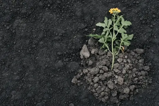 Этот крупный план запечатлевает надежду и упорство природы, пробивающейся сквозь трещины, приглашая к внимательному наблюдению, изучению текстуры и тонкому оптимизму