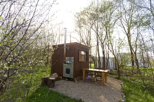 Деревянная баня с трубой среди весенних деревьев