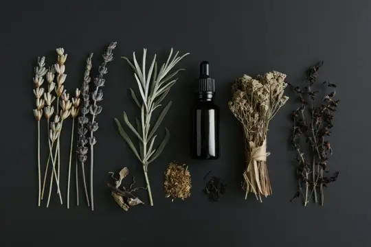 Сушёные травы, флакон эфирного масла и специи на тёмном фоне