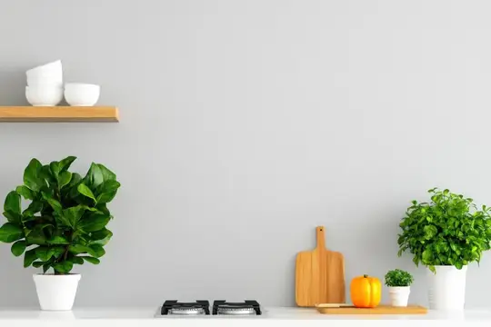 Светлая кухня с зелёными растениями, посудой и тыквой на столе