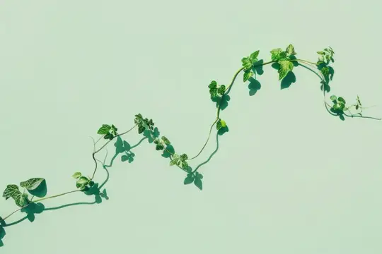 Вьющаяся зелёная лиана с листьями на светло-мятном фоне
