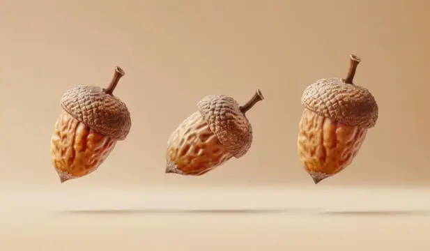 Три спелых жёлудя в полёте на бежевом фоне
