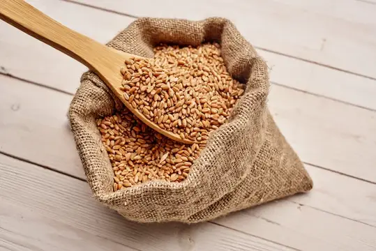 Злаки в пакете, крупный план, символизирующие здоровый завтрак