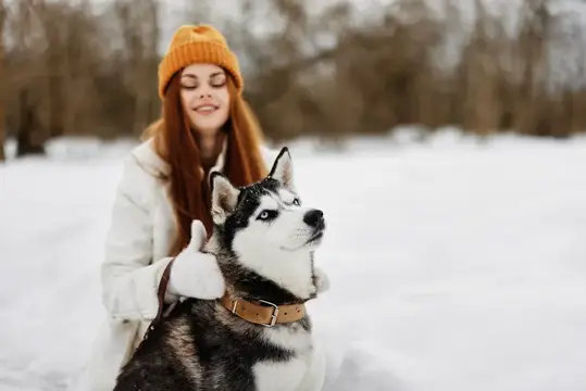 Молодая женщина с хаски играет в снегу, веселится, путешествует, дышит свежим воздухом