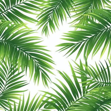 Иллюстрация с рамкой из зелёных пальмовых листьев на белом фоне
