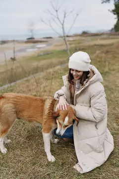 Собака и женщина на улице