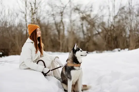Женщина зимой на улице с собакой, веселье, природа, свежий воздух