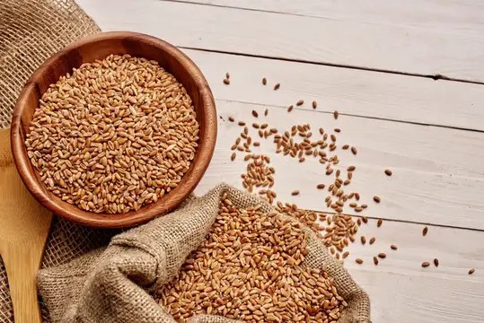 Крупный план хлопьев для завтрака, органического продукта питания