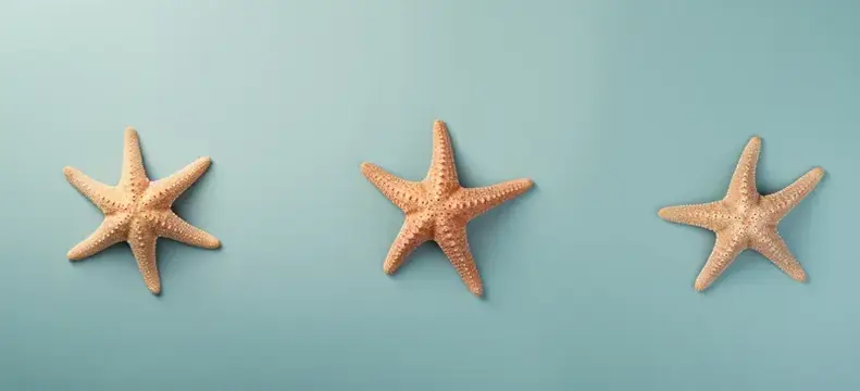 Три морские звезды на нежно-голубом фоне