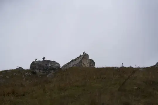Горный пейзаж, скалы, камни, облака в небе, трава