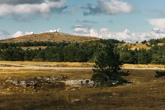 Холмистый пейзаж с одинокой сосной и каменными выходами на переднем плане