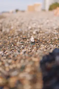 Маленькая спиральная ракушка на галечном пляже крупным планом