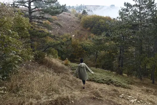 Женщина в стильном зелёном пальто исследует безмятежную красоту природы, поднимаясь на лесной холм