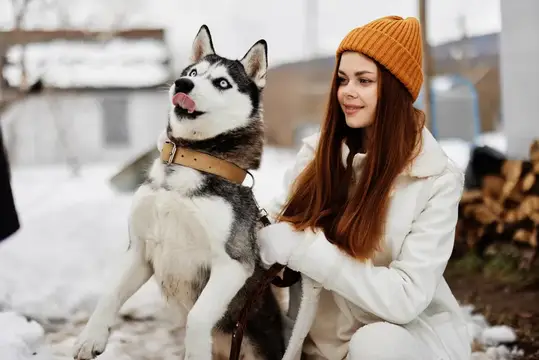Женщина с собакой на зимней прогулке на улице, в кадре чувствуется дружба и запечатлён образ жизни
