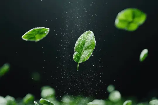 Зелёные листья в брызгах воды на тёмном фоне