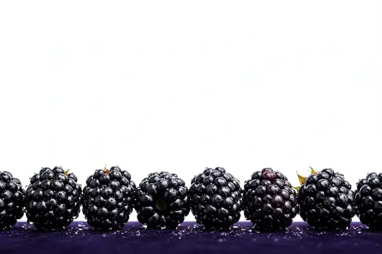 Ряд спелых ежевик на белом фоне с каплями воды
