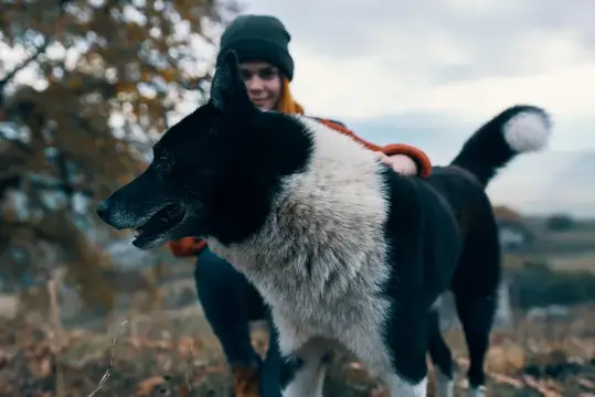 Женщина-туристка с рюкзаком и собакой на природе, символизирующая дружбу города и природы